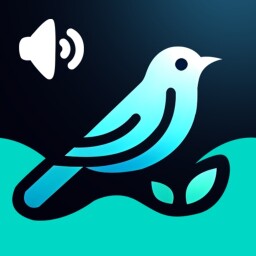 Bird Sounds Enjoy